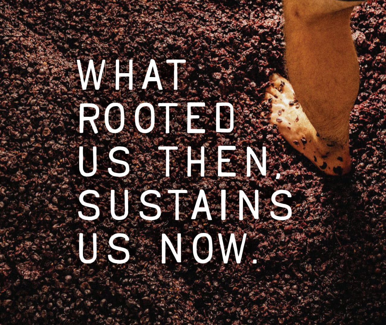 Sustainable WA case study promo